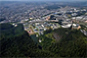 AkzoNobel helping to save the Brazilian rainforest